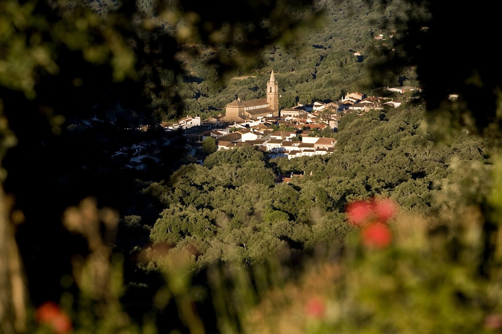 Finca la Fronda 15/20