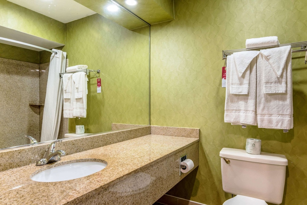Econo Lodge Pocomoke City Hwy 13 15/23