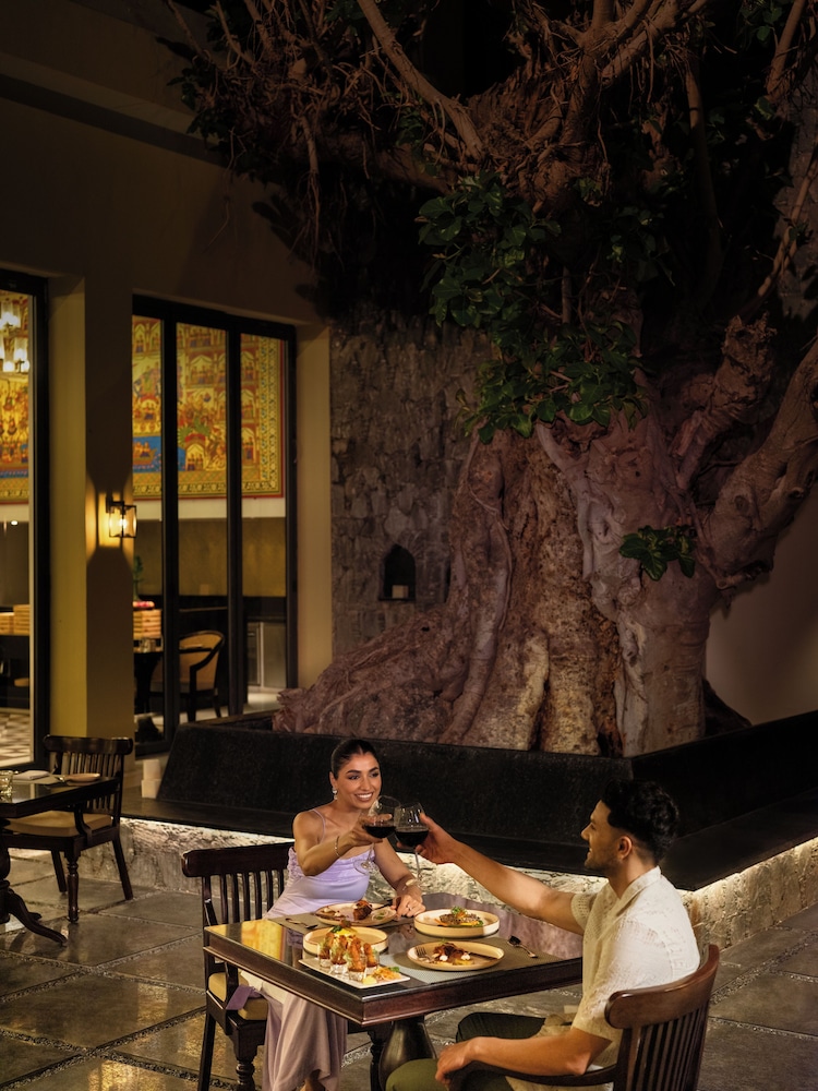 Radisson Blu Resort, Kumbhalgarh 46/59