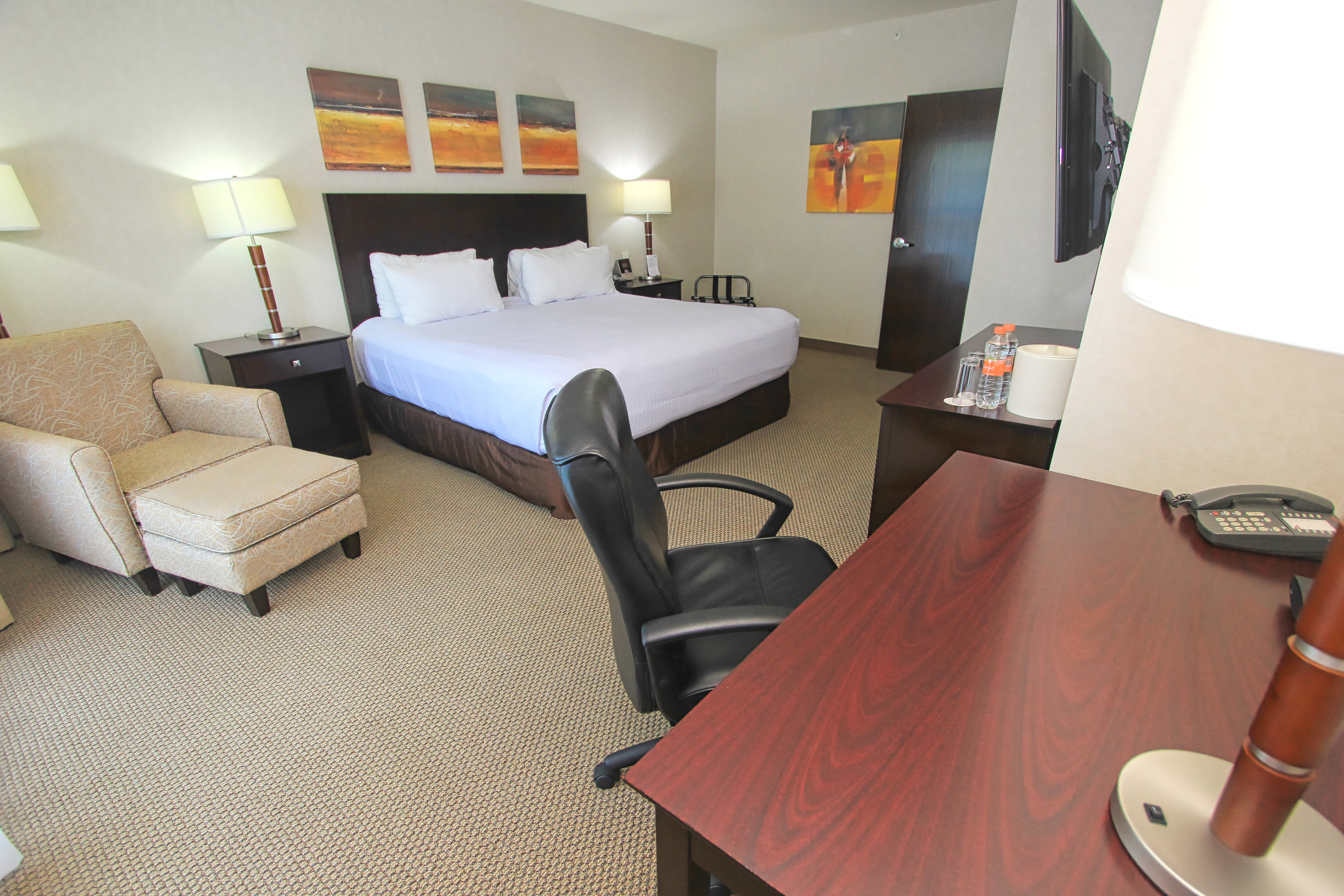 Crowne Plaza Leon 17/50