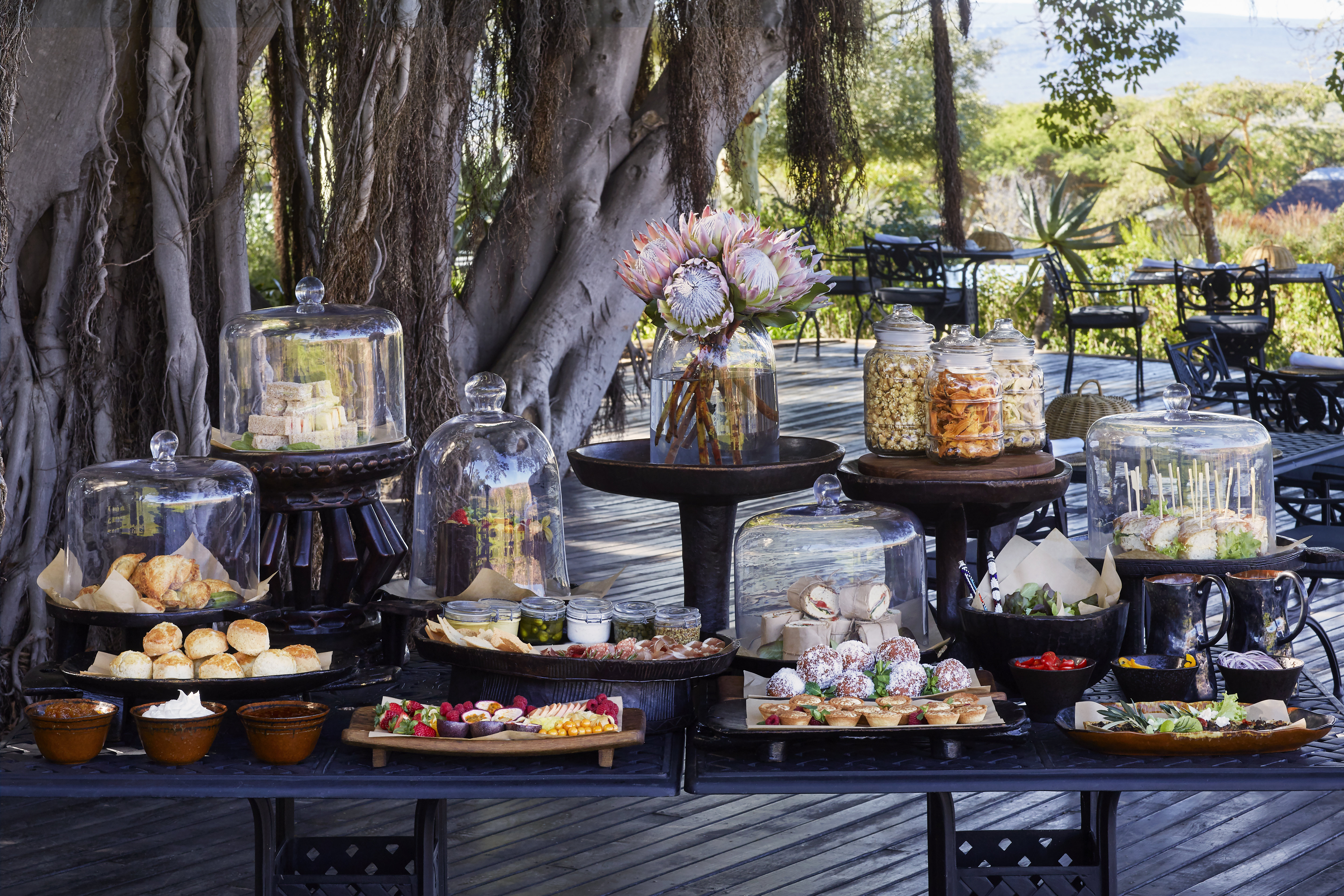 Bushmans Kloof Wilderness Reserve and Wellness Retreat 2/50