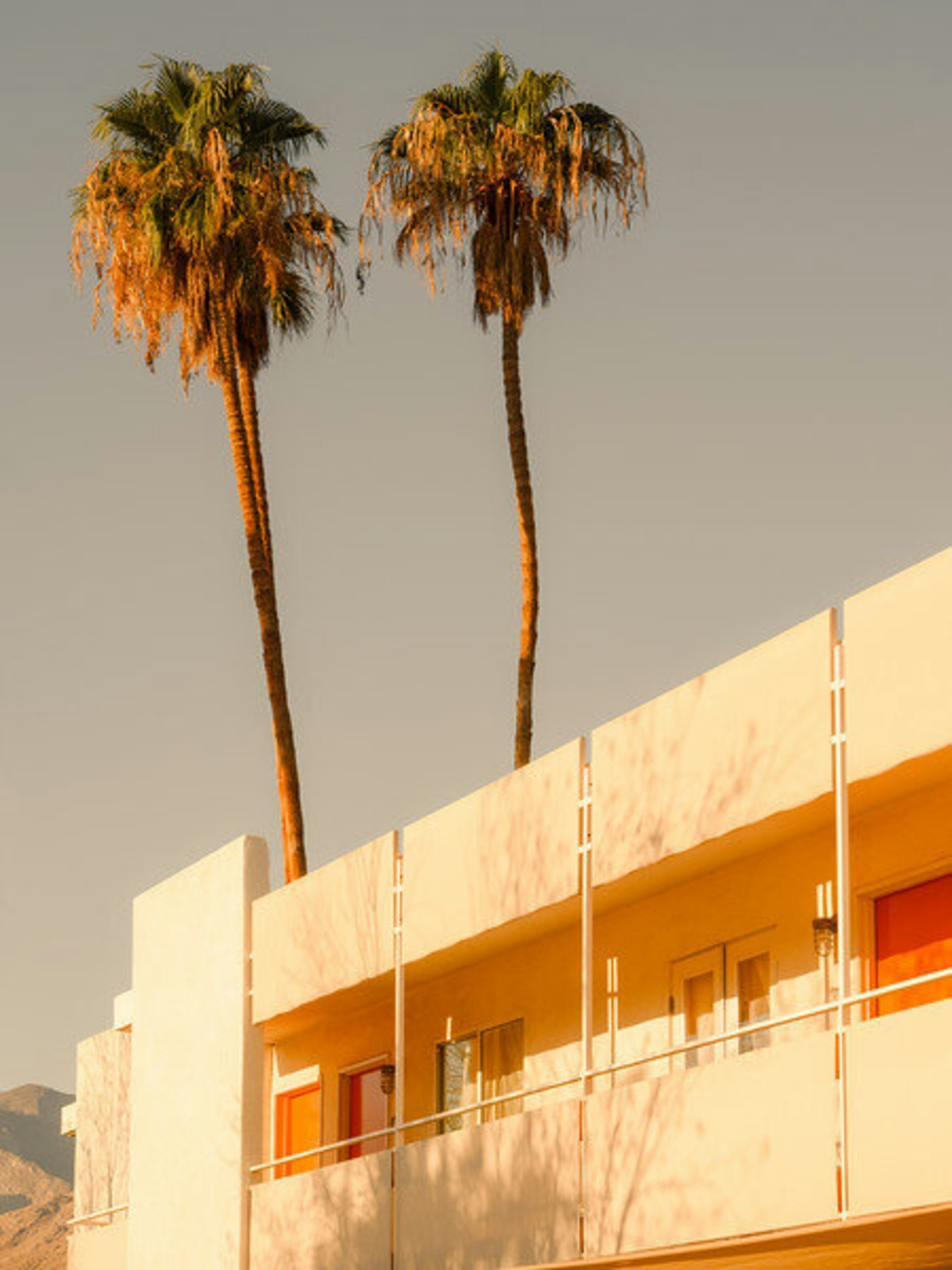 Ace Hotel 45/50
