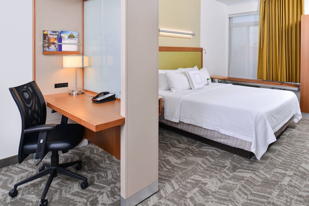 SpringHill Suites by Marriott Detroit Metro Airport Romulus 14/47