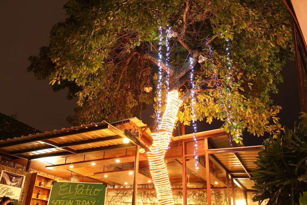 The Purple Tree Bed & Breakfast 35/36