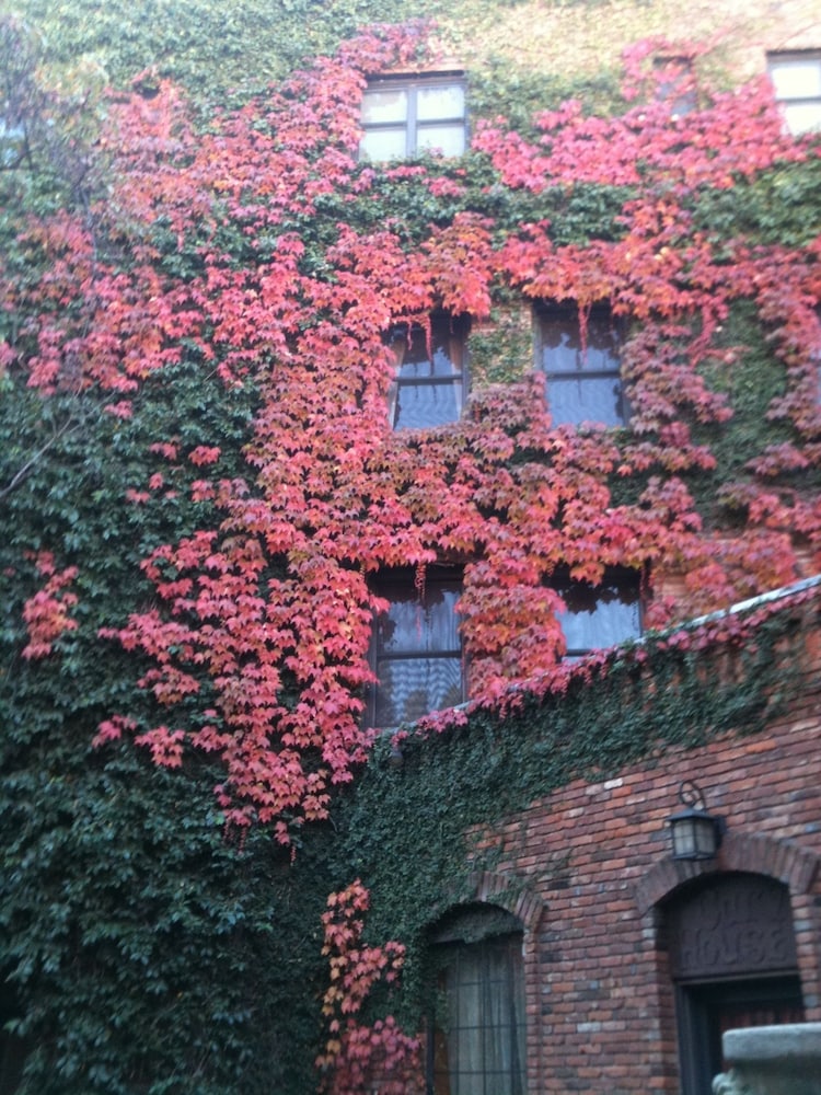 Historic Cary House Hotel 6/51