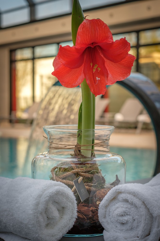 Kyriad Prestige Lyon Est Saint Priest Eurexpo Hotel And Spa 40/72