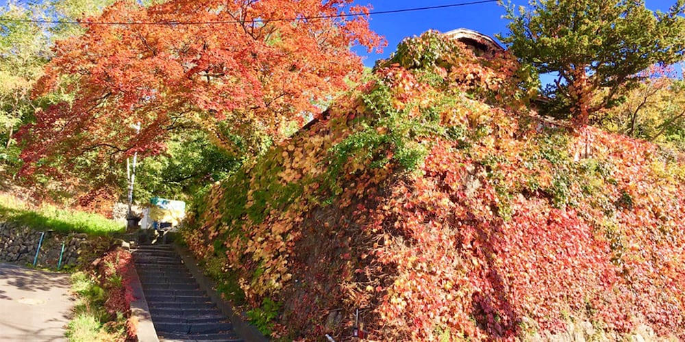 Otarunai Backpackers' Hostel Morinoki 44/48