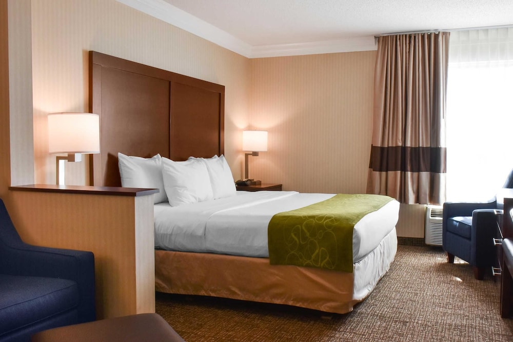 Comfort Suites Downtown Carlisle 11/37