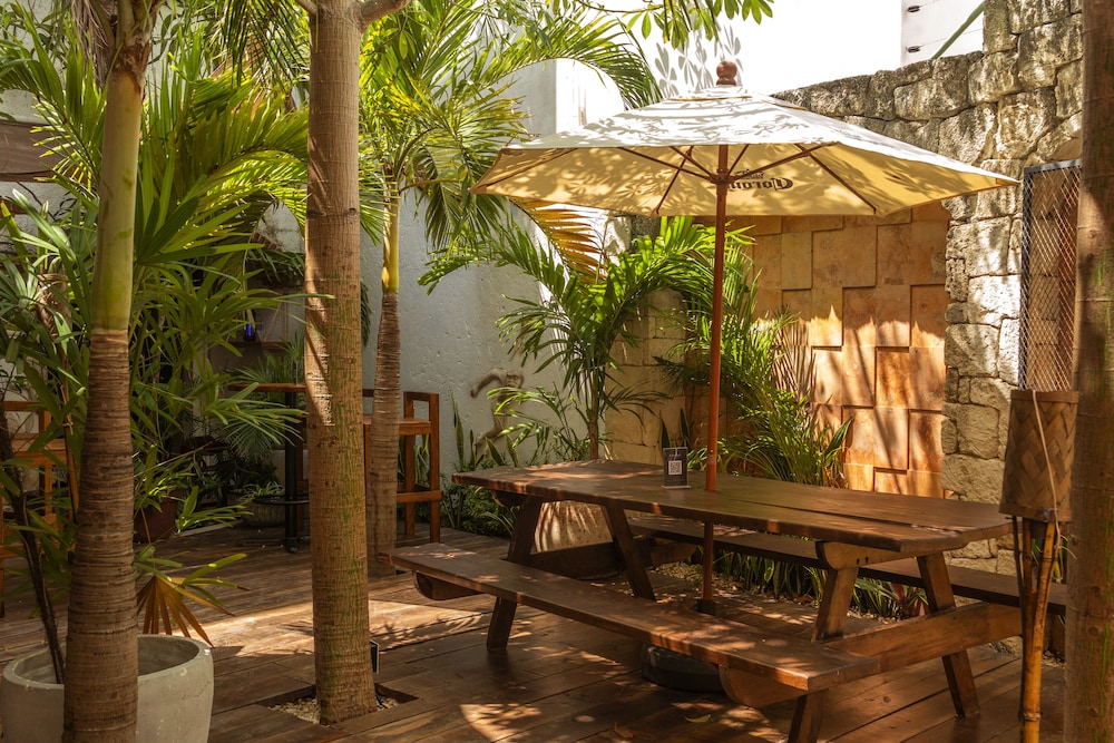 Mezcal Hostel 23/50