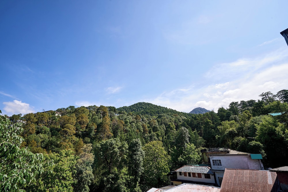 Treebo Roshan House 43/49