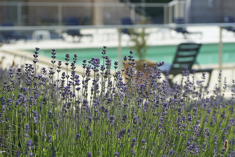 Citotel Les Alizes 23/33