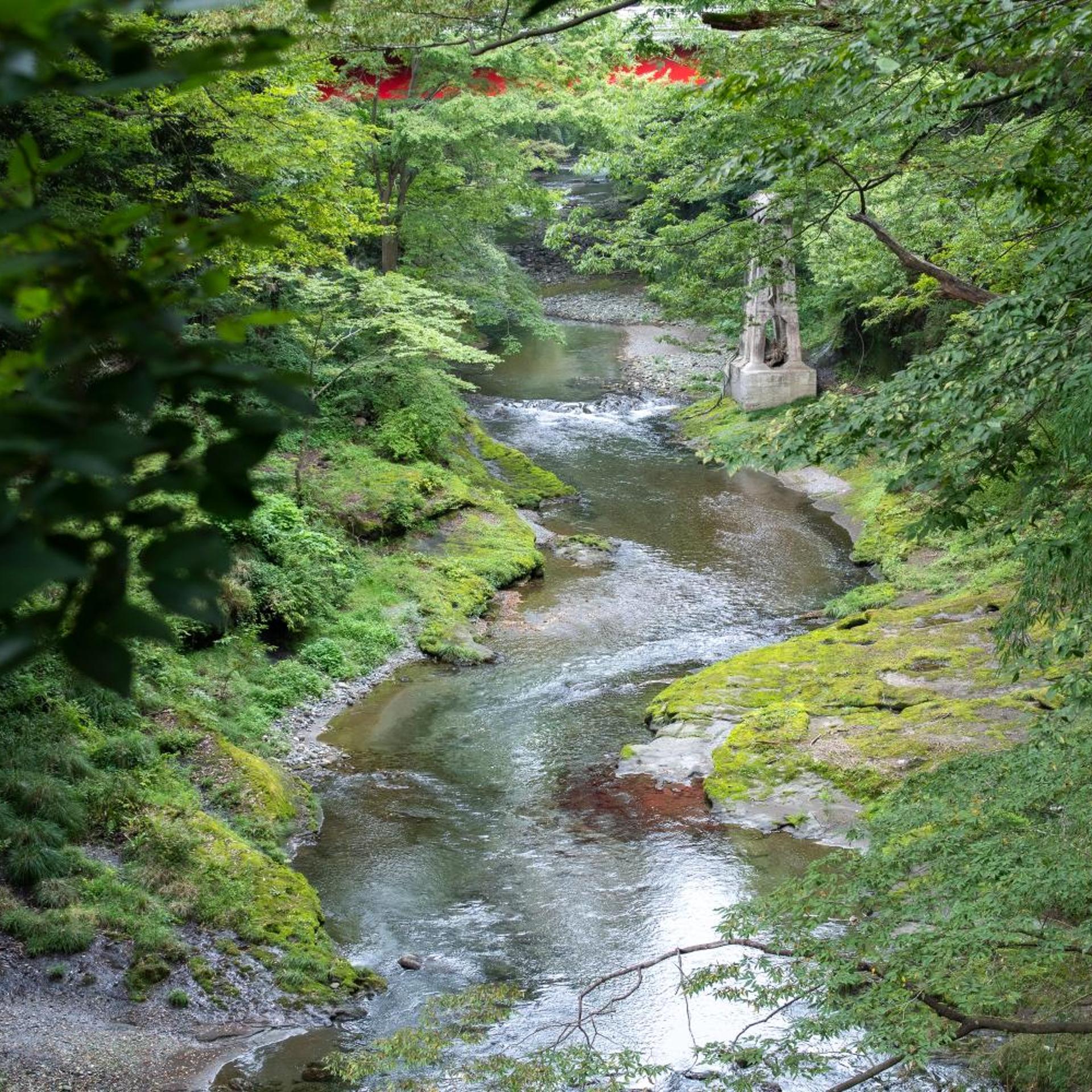 Hotel Miyama 41/42