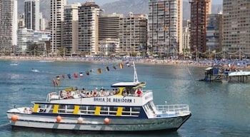 Benidorm City Olympia 56/61