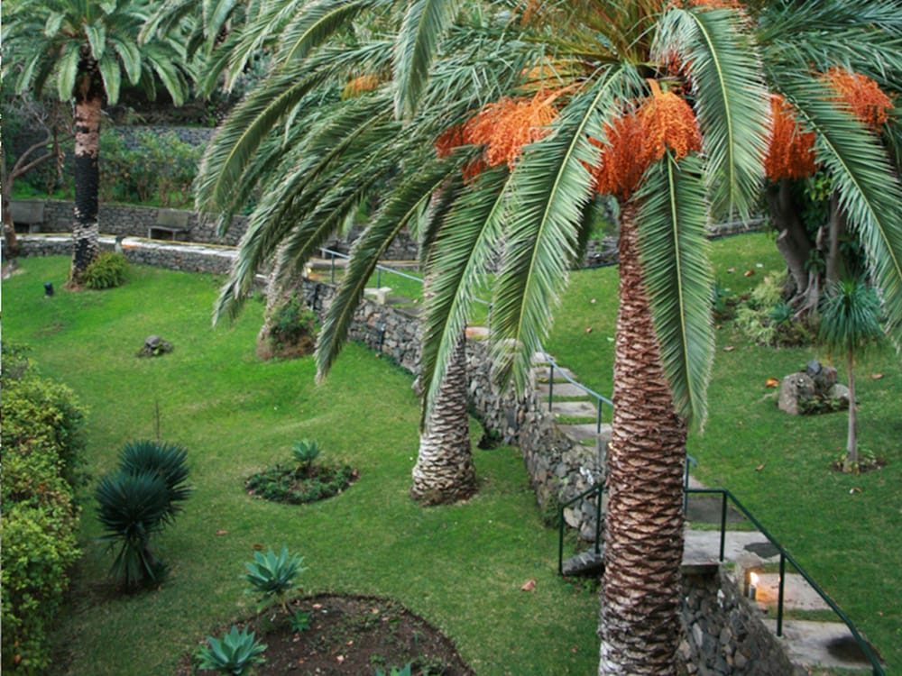 Baia Madeira Hotel - Ocean Beachfront 30/54