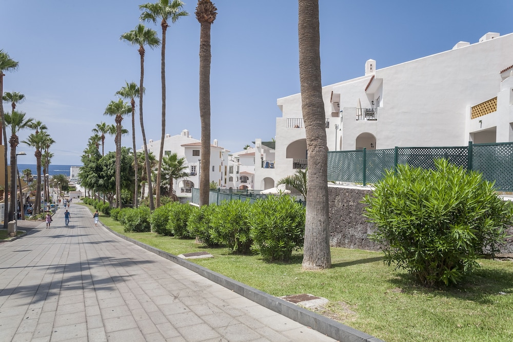 Hilton Vacation Club Sunset Harbour Club Tenerife 44/50