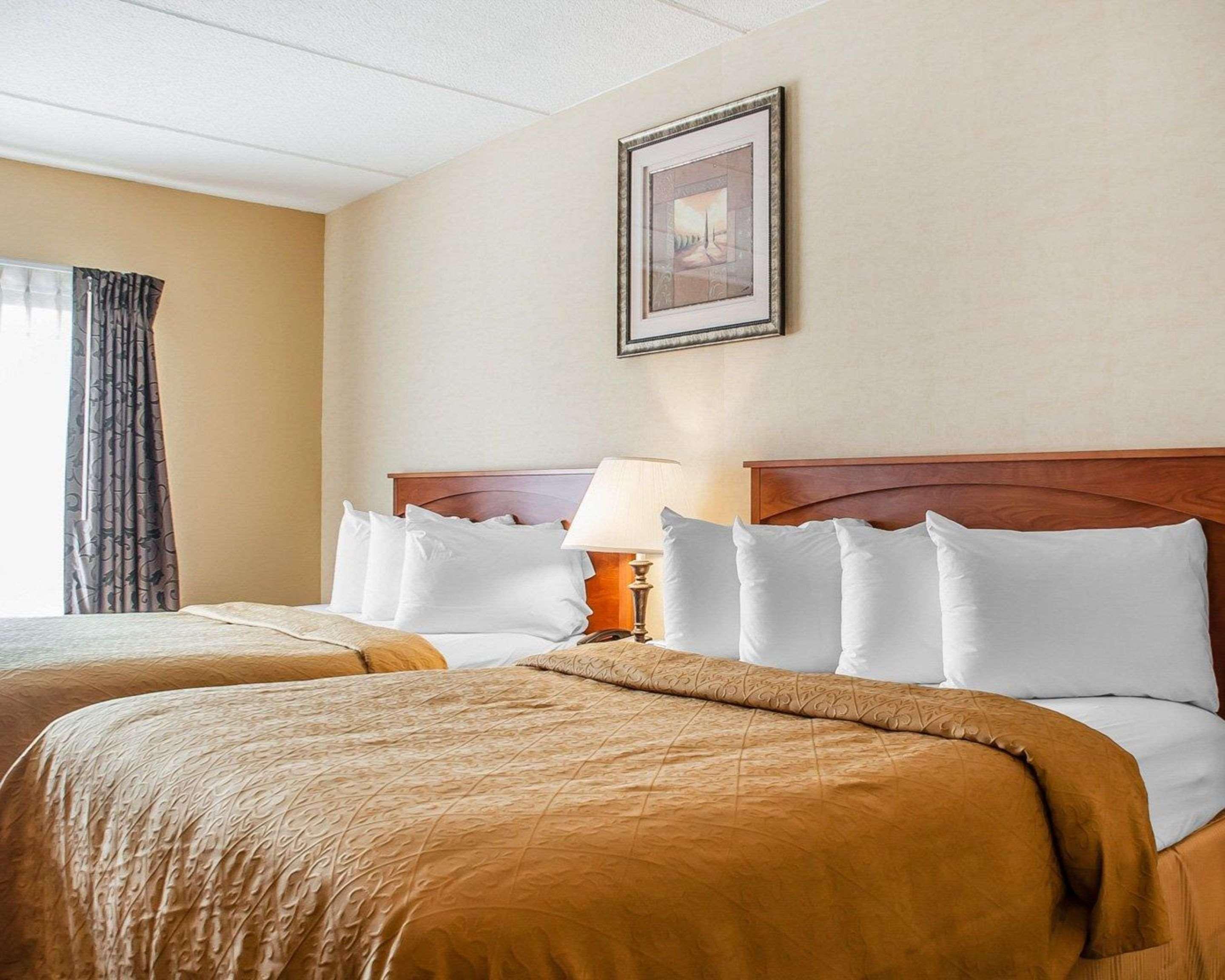 SUITE, KING BED
