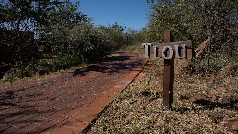 Rockfig Lodge Madikwe 23/50