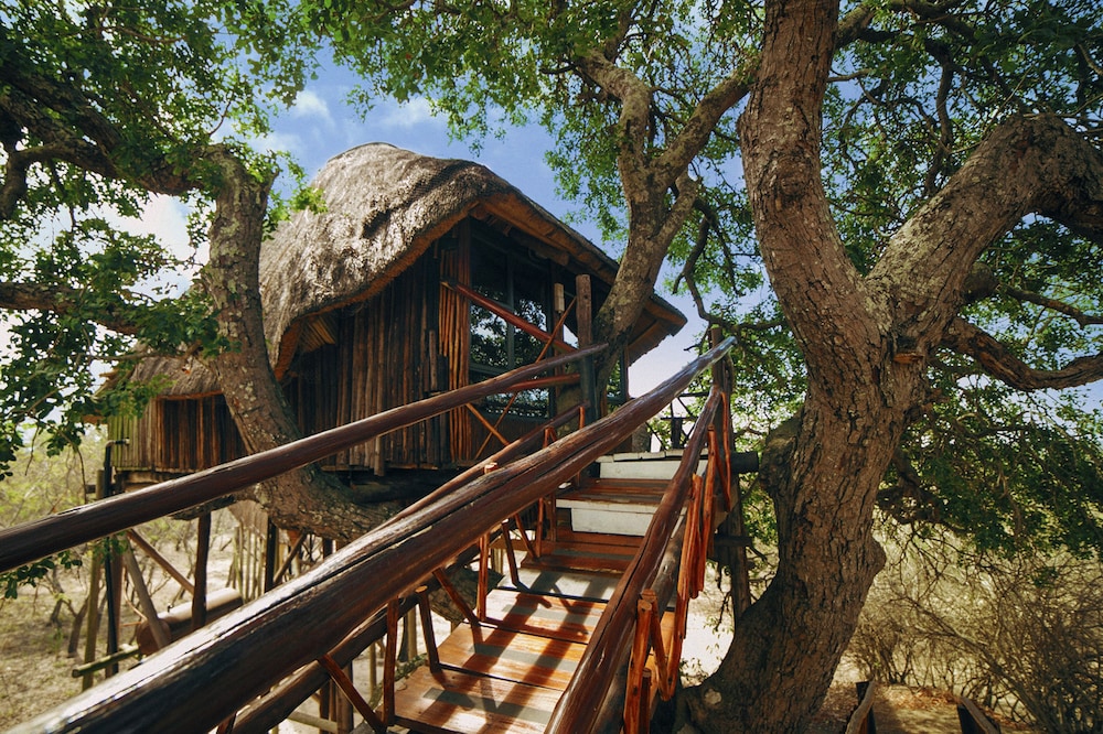 Pezulu Tree House Lodge 32/50
