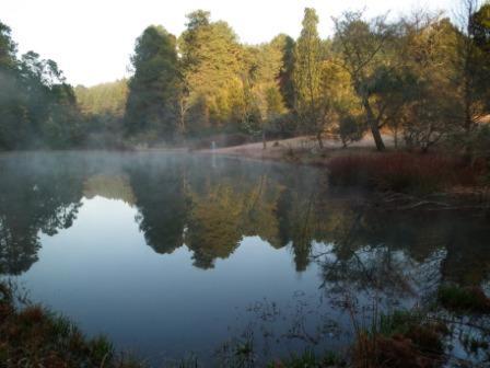 Cheerio Trout Fishing & Holiday Resort 44/50