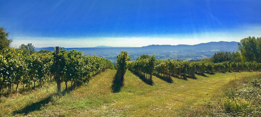 Valdonica Winery & Vineyard Residence 24/50