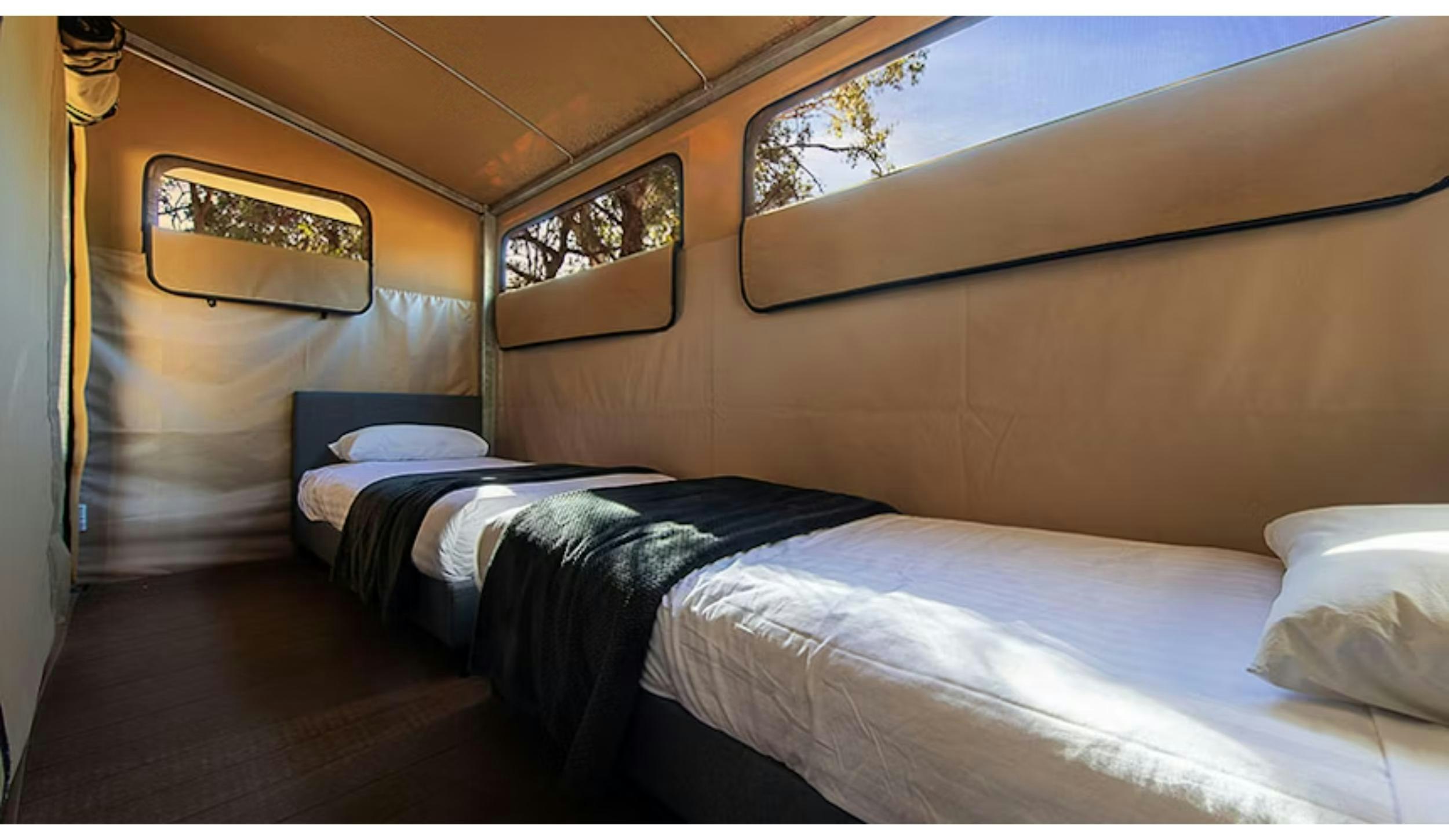 Safari, Family, Tent