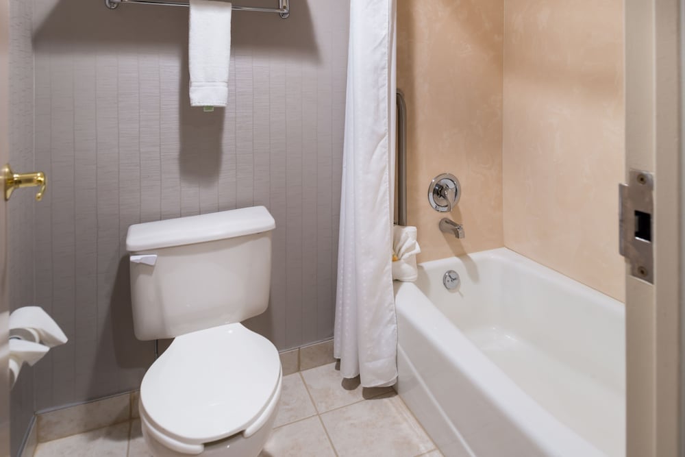 غرفة قياسية بسرير مزدوج، Holiday Inn Hotel Suites Warren 2/2