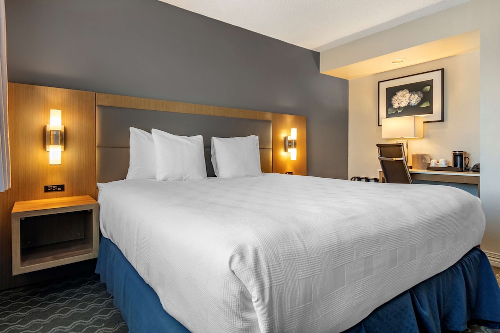 EXECUTIVE, KING BED, ACCESSIBLE