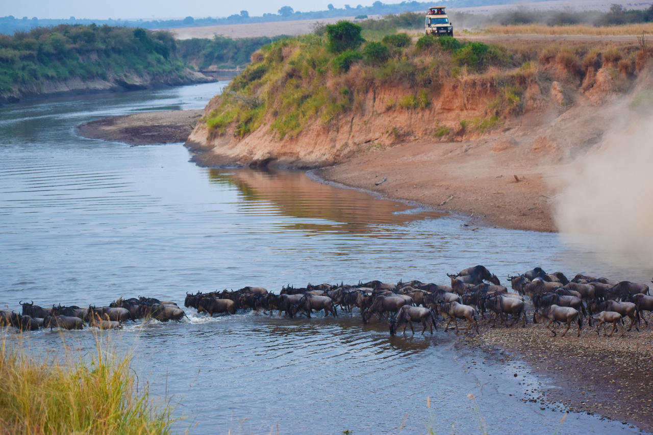 Mara Serena Safari Lodge 68/77