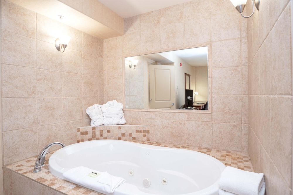 Sandman Hotel & Suites Regina 18/47