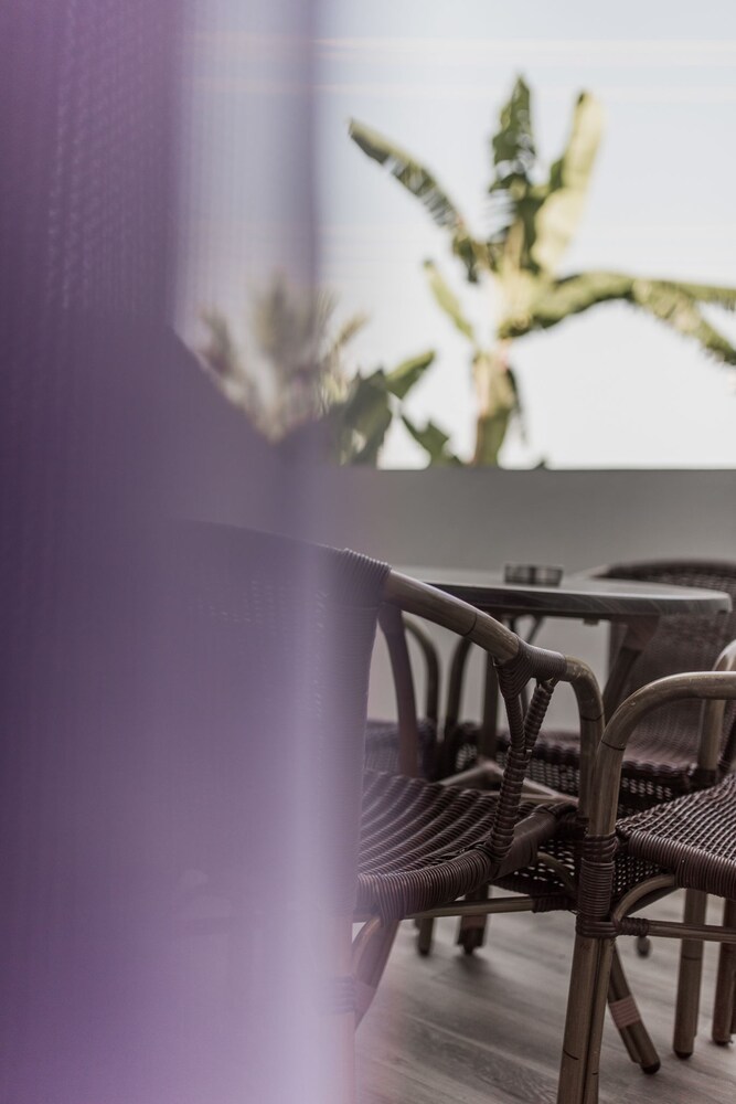 赞特卡里尼卡公寓式酒店(Zante Calinica) 图片3