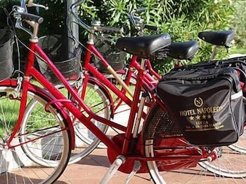 Napoleon 35/37
