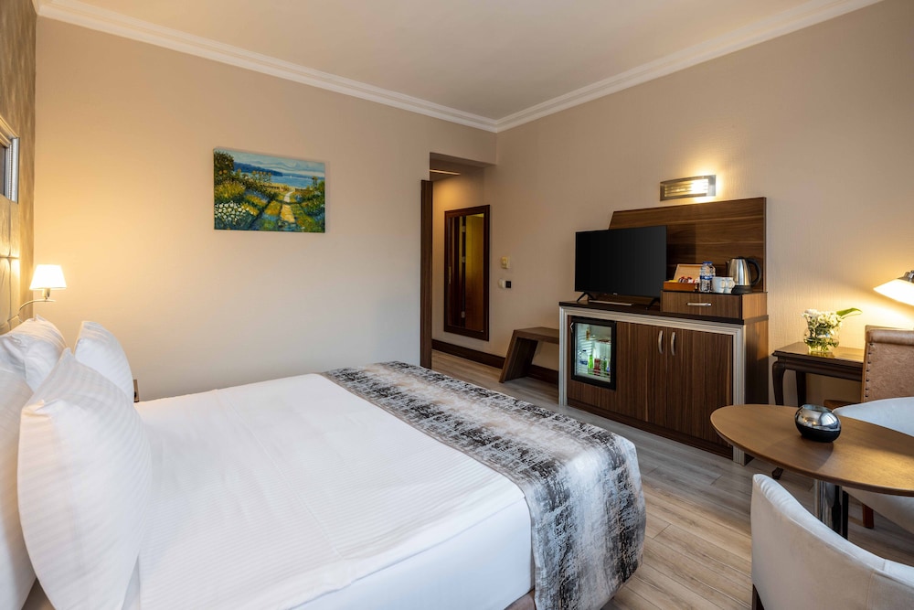 Elite Hotel Dragos 23/56