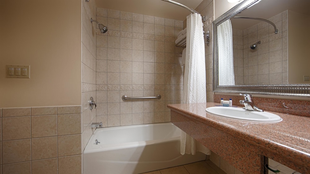 Best Western Plus Country Park Hotel 20/48