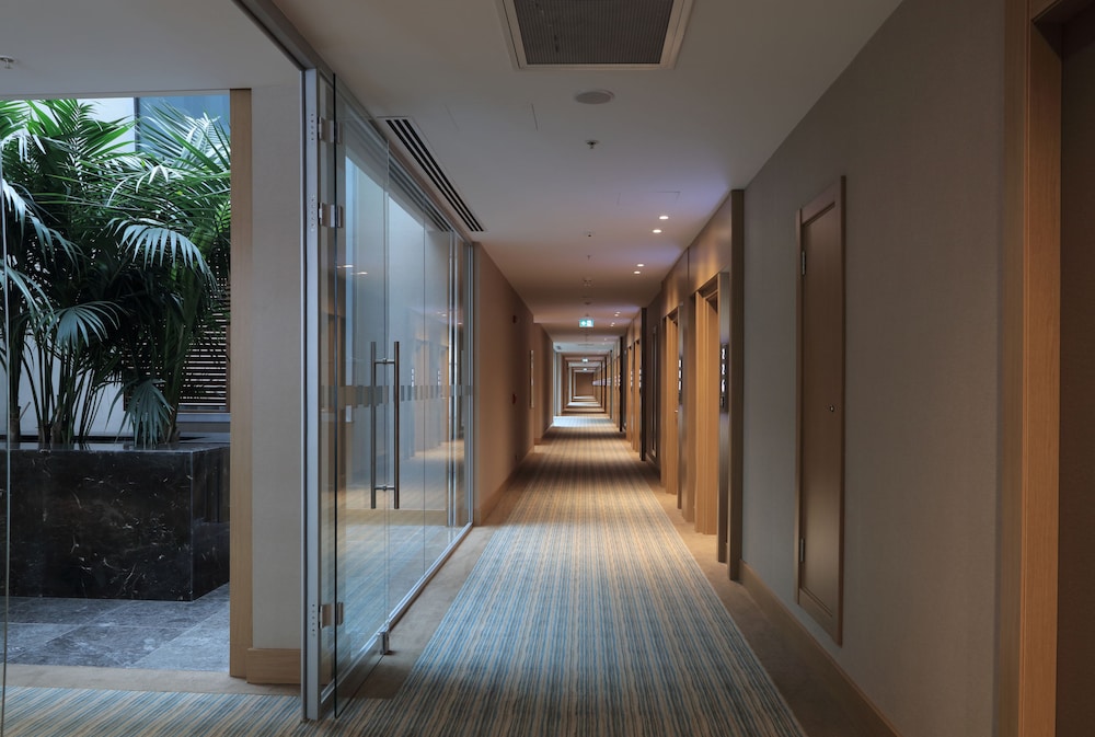 THE ANKARA HOTEL 38/65