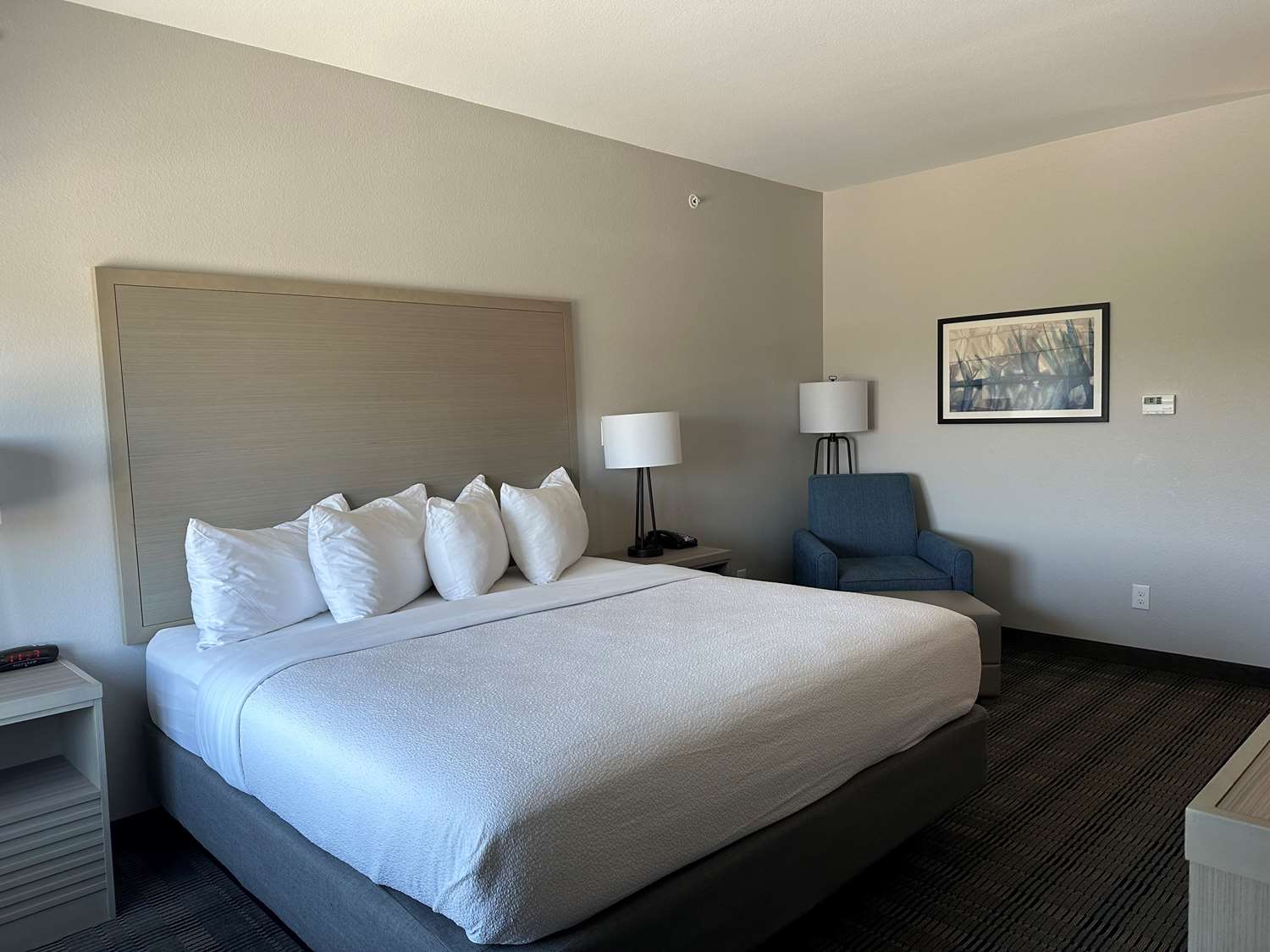 Room, King Bed