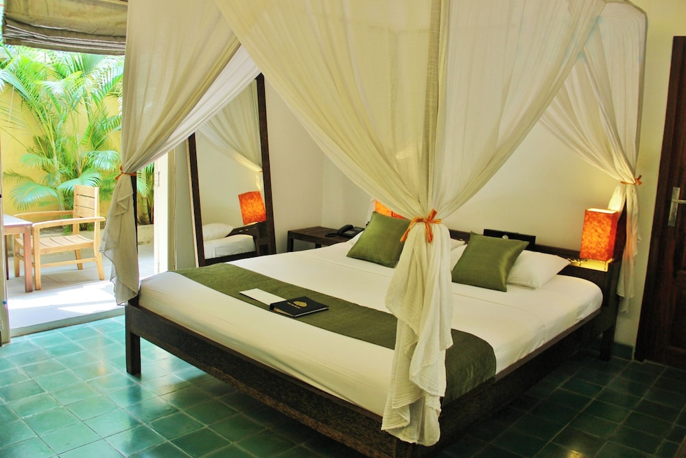 Room, Double Bed, Adult Only
