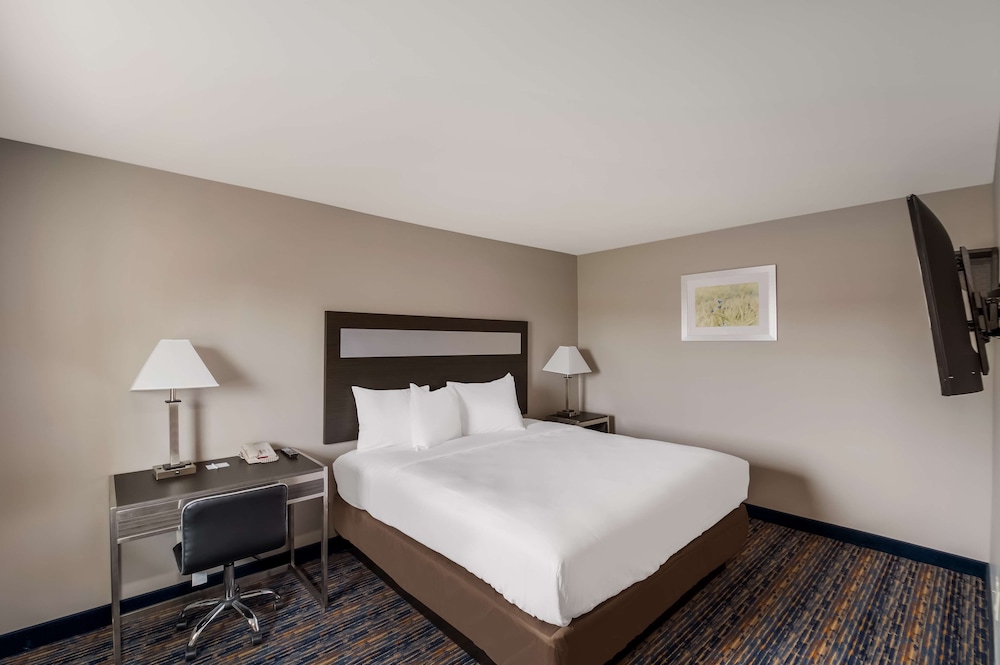 Americas Best Value Inn Farmington 30/30