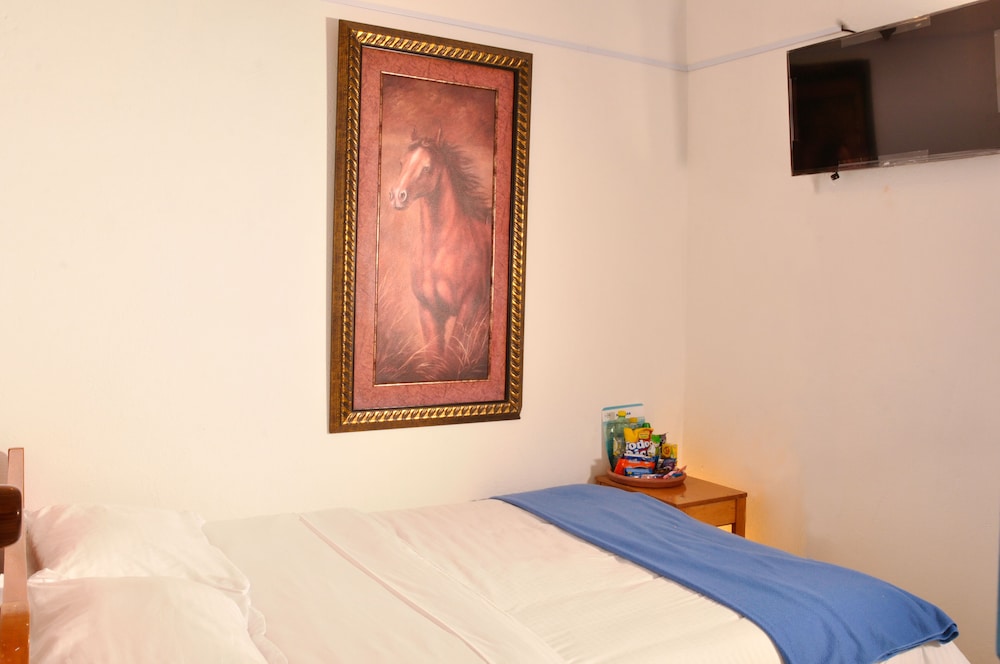 Laureles de la Villa 16/50