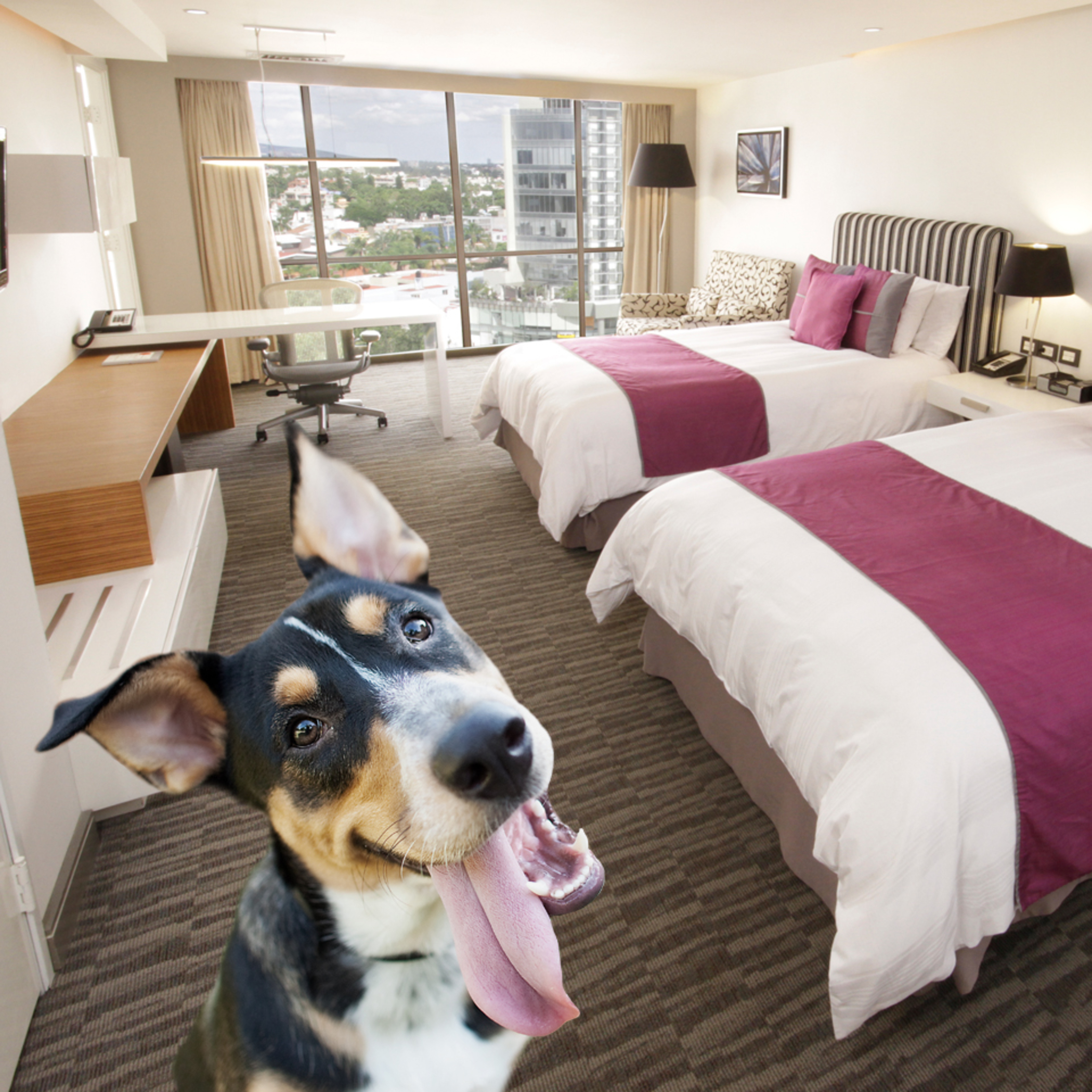 rooms