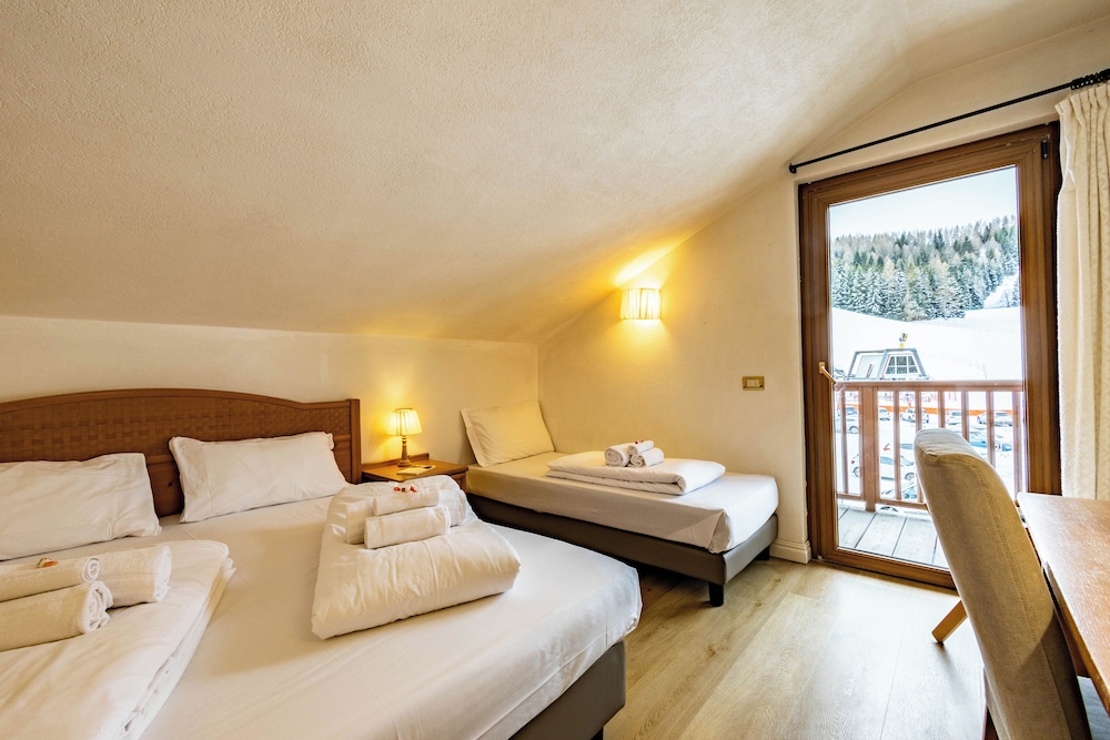 Hotel Grizzly 10/50