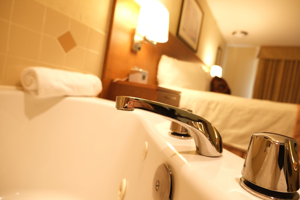 Rosslyn Inn & Suites, SureStay Collection by Best Western 25/48