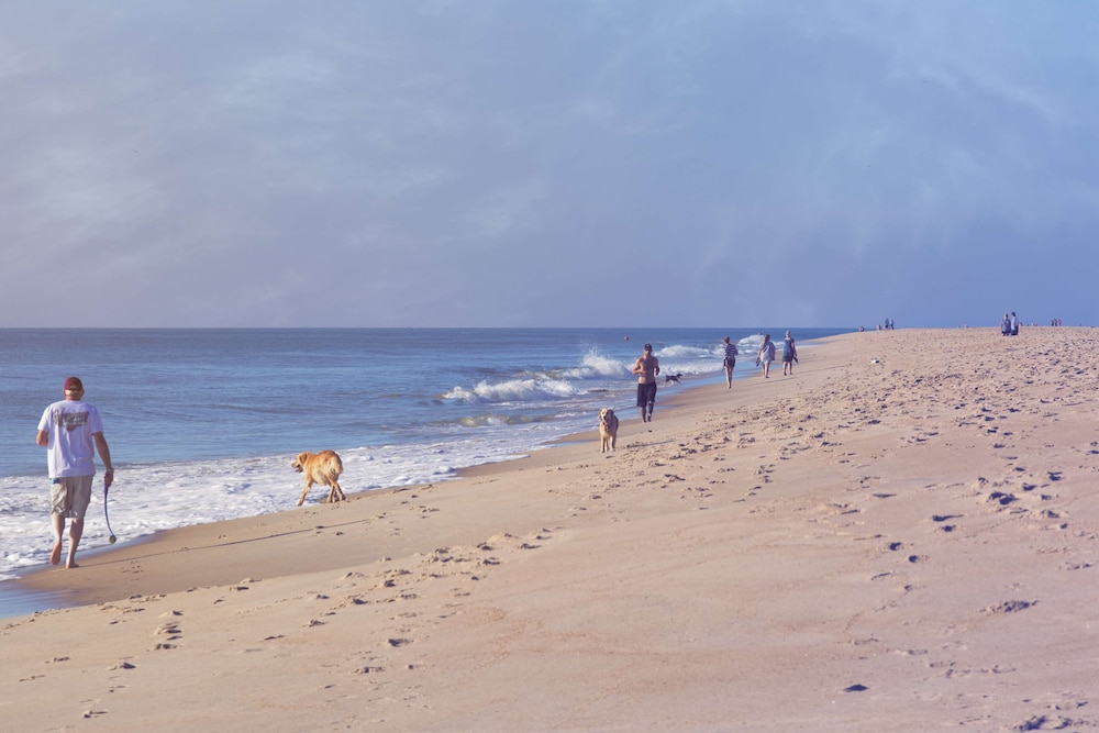 Hyatt Place Dewey Beach 78/80
