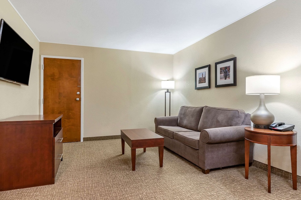 Comfort Inn & Suites Clemson - University Area 28/49