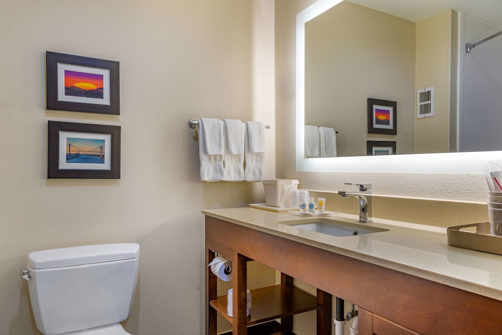 Comfort Suites Savannah Gateway I-95 31/38