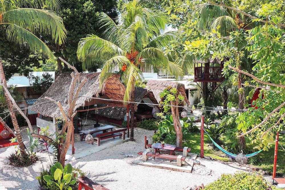 El Buho Eco-Cabanas 37/50