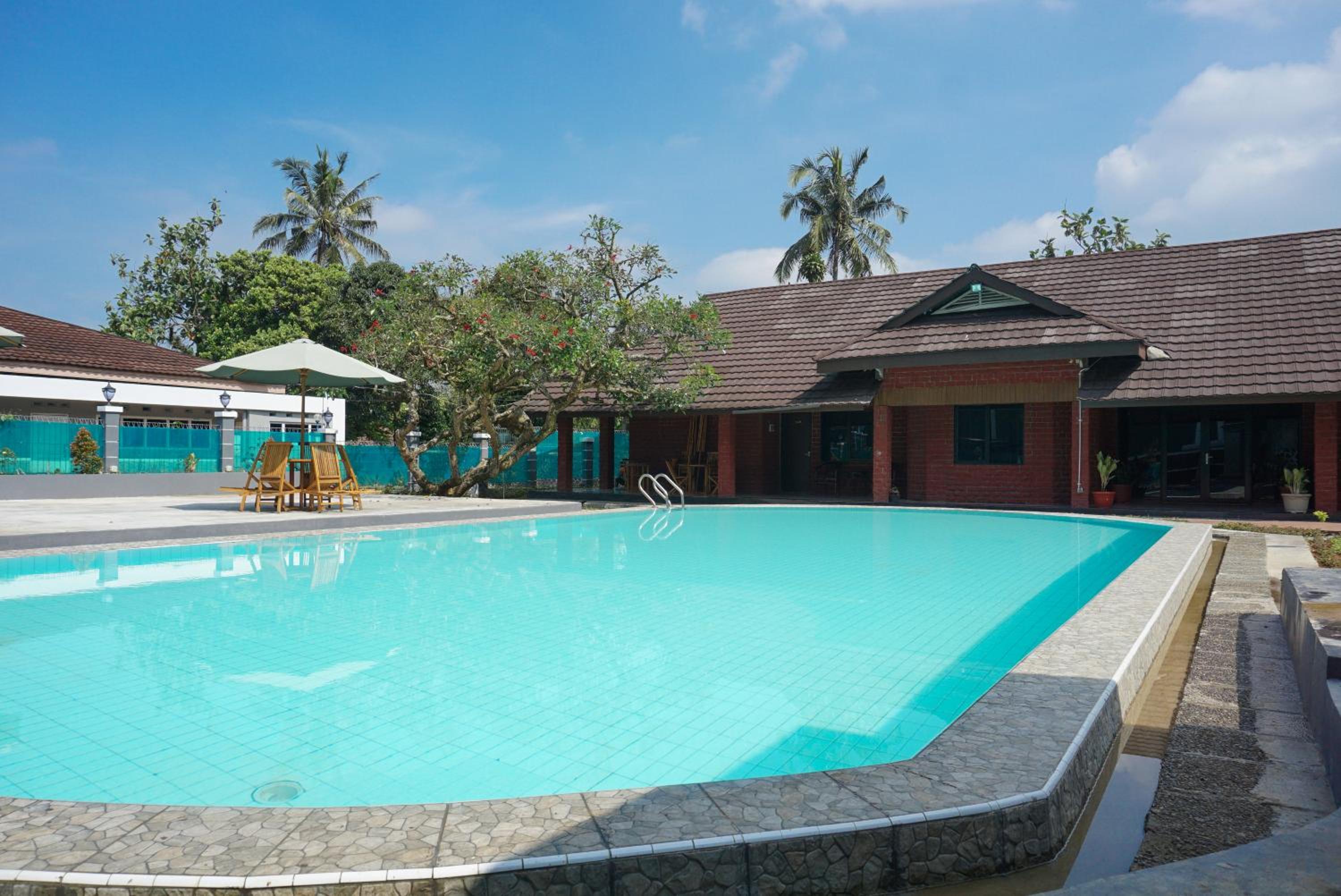Hotel Gerbera 27/40