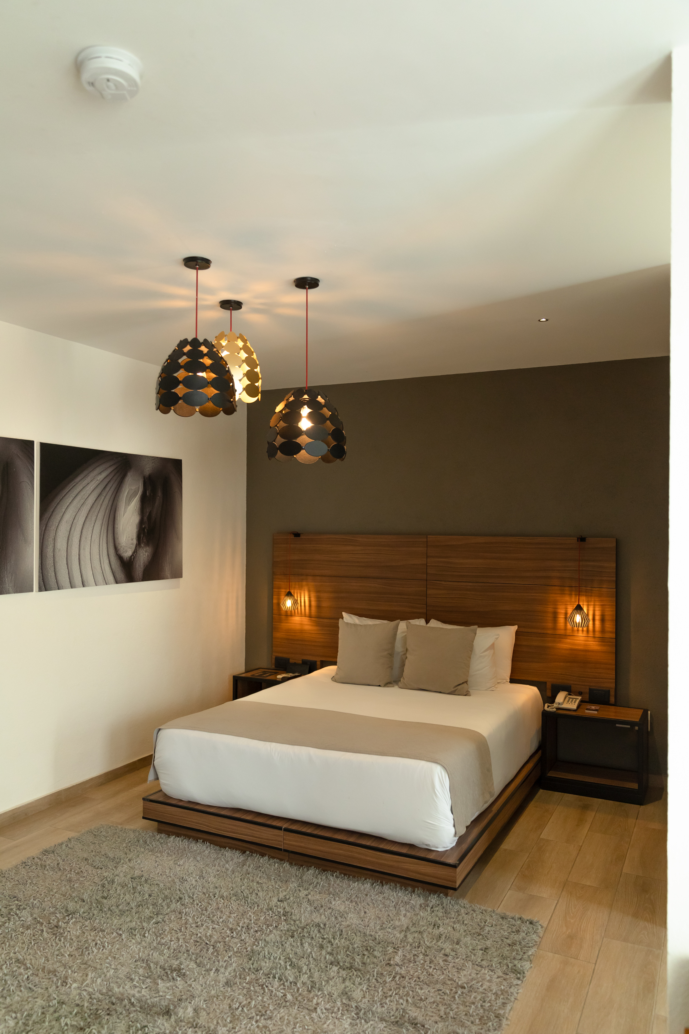 Room, Queen Bed