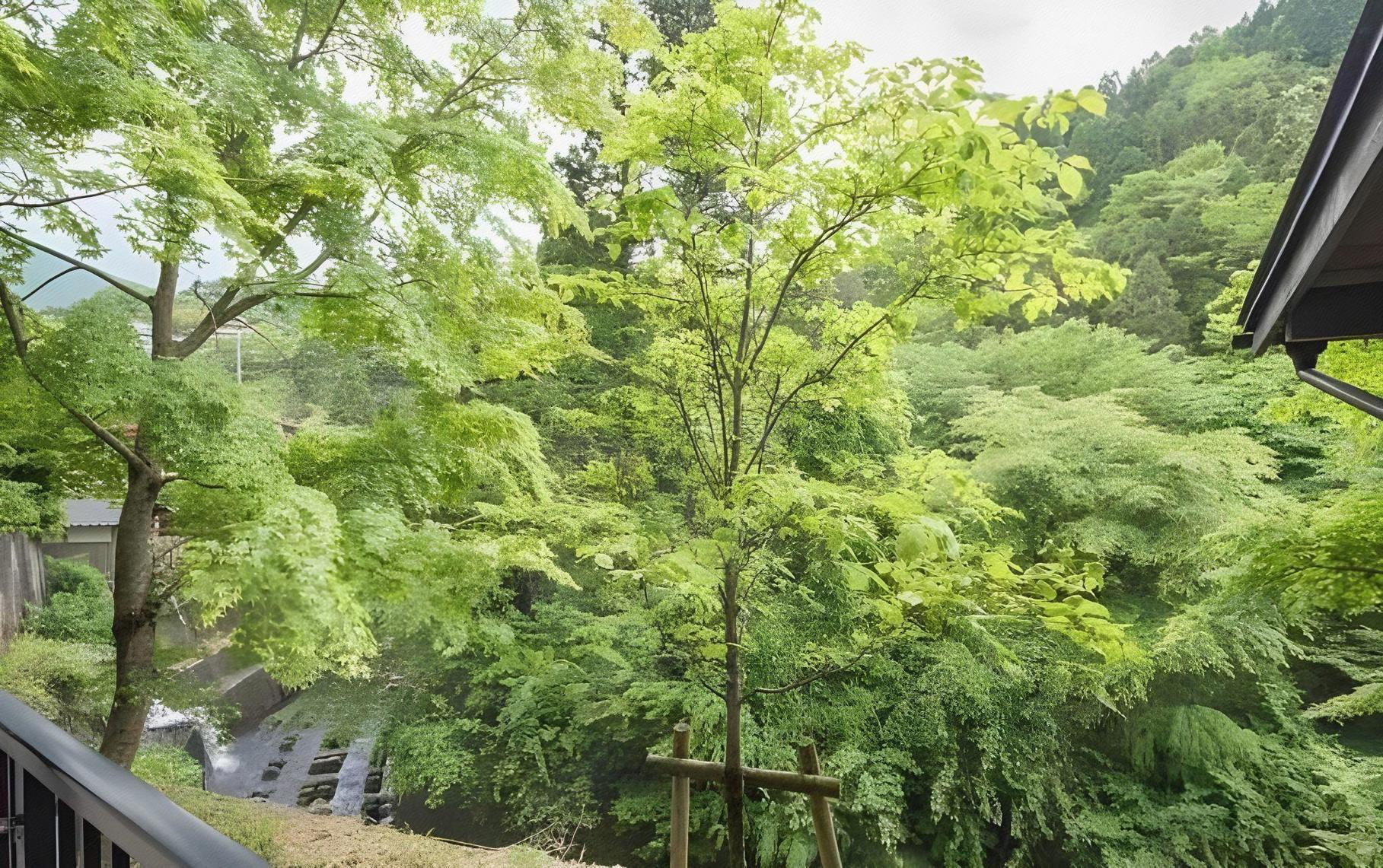 Shirataki Hotel 38/39