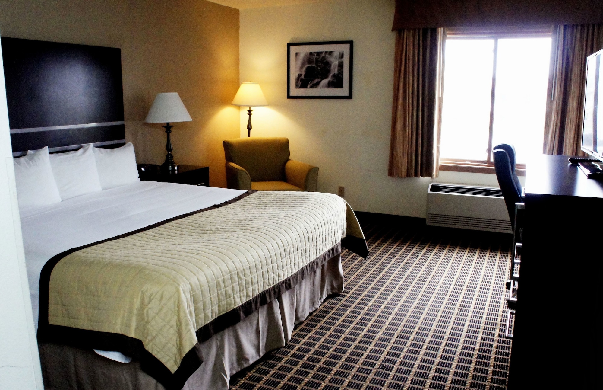 Suite, King Bed