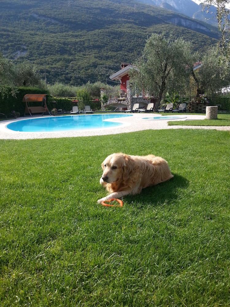 Eco Hotel Benacus 37/50